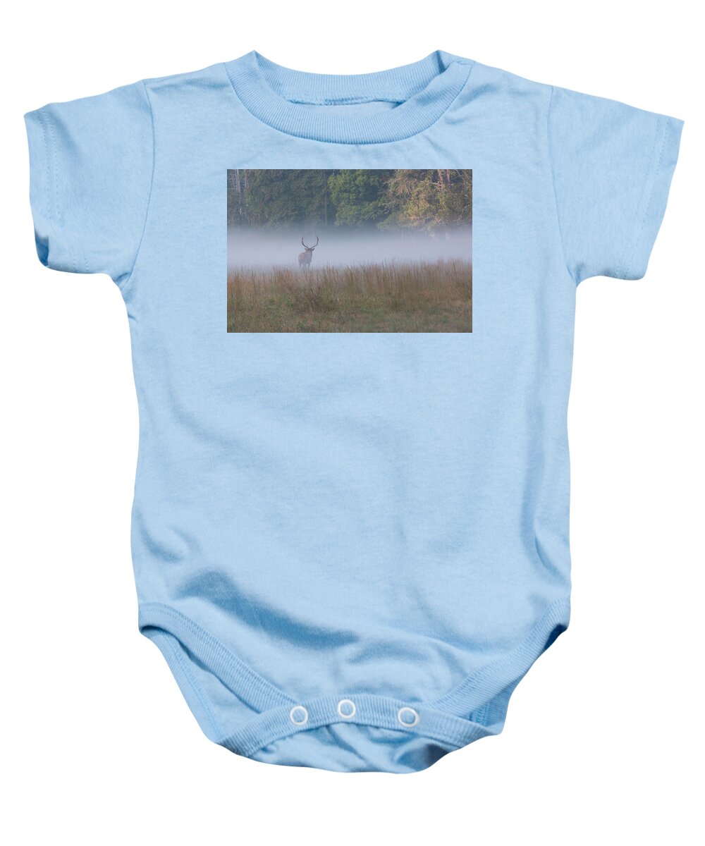 Elk Baby Onesie featuring the photograph Bull Elk Disappearing in Fog - September 30 2016 by D K Wall