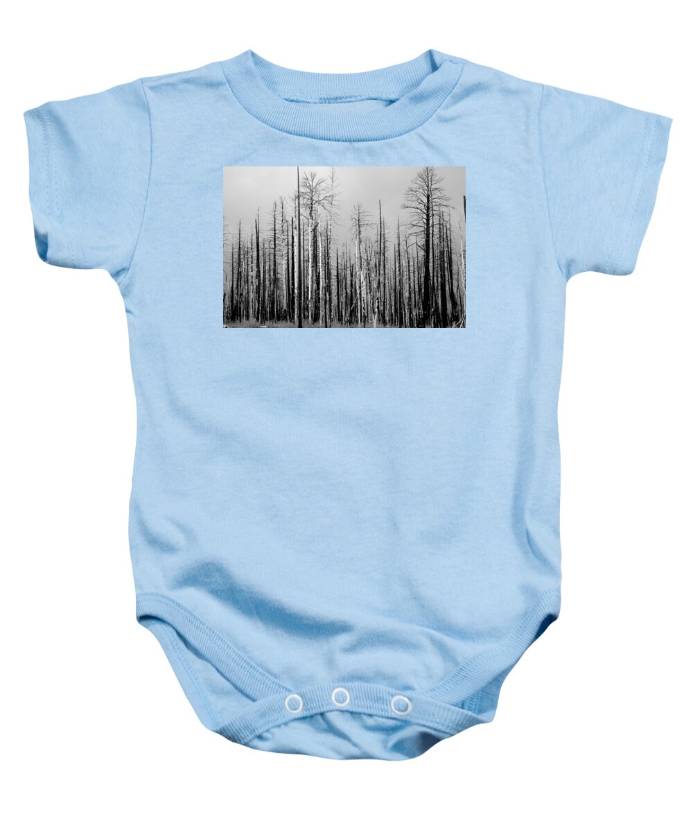 Charred Baby Onesie featuring the photograph Charred Trees by James BO Insogna