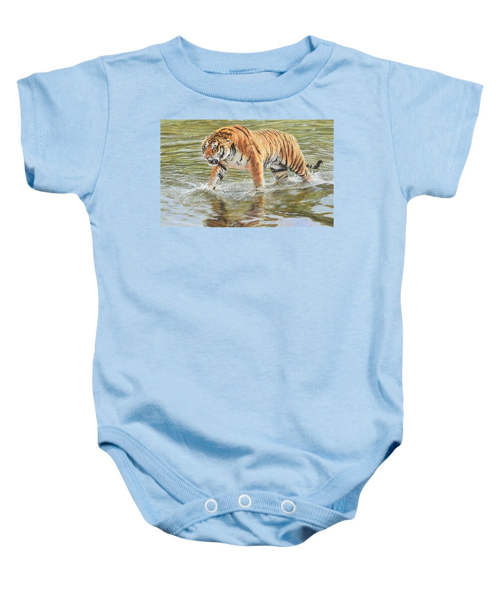 Wildlife Paintings Baby Onesie featuring the photograph Closing In by Alan M Hunt