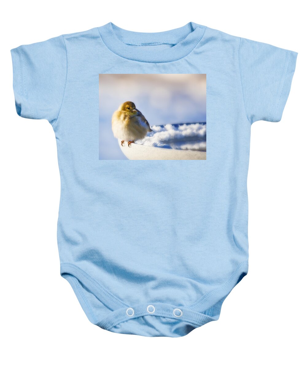American Goldfinch Baby Onesie featuring the photograph Cold American Goldfinch by Al Mueller