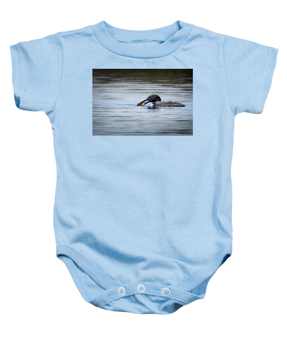 Loon Baby Onesie featuring the photograph Common Loon by Bill Wakeley
