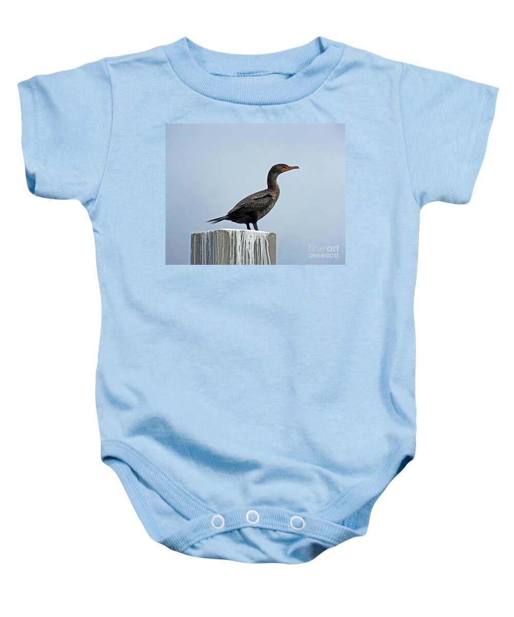 Bird Baby Onesie featuring the photograph Cormorant Perdido Key by Lizi Beard-Ward