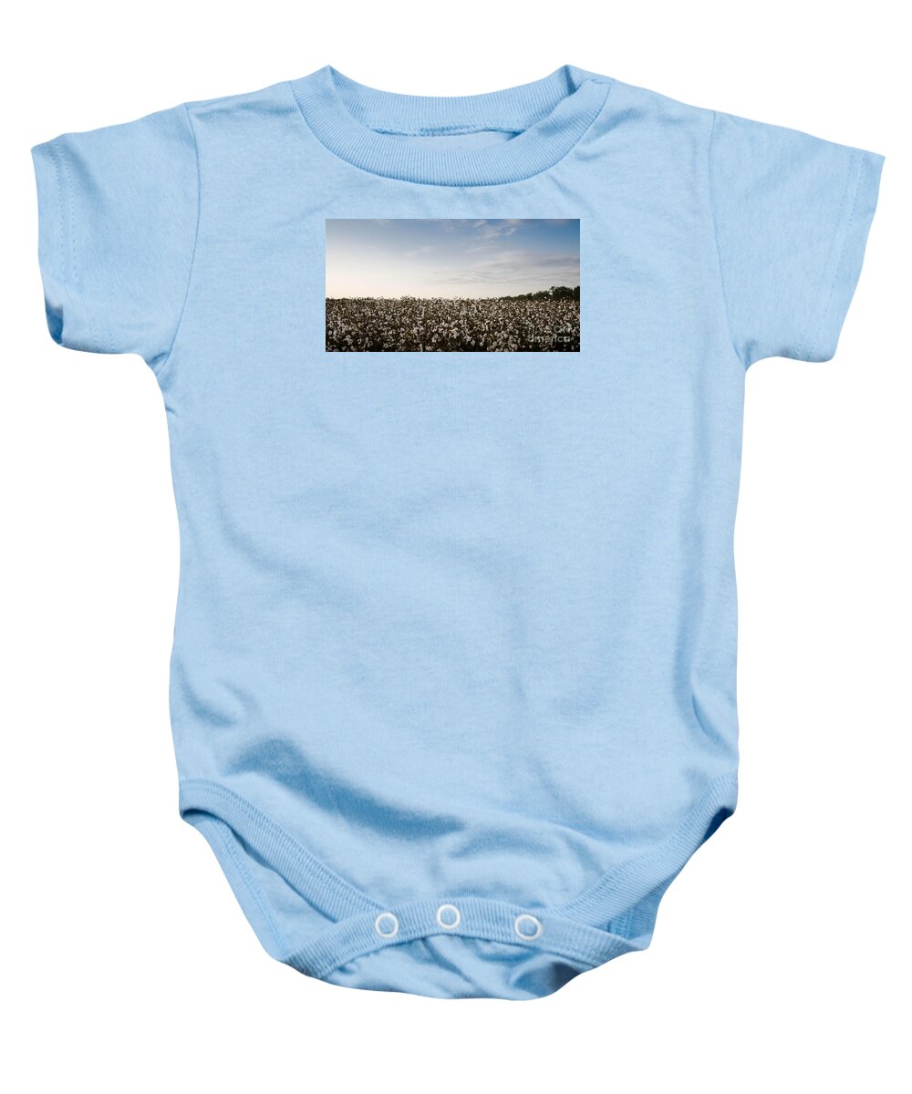 Fluffy Baby Onesie featuring the photograph Cotton Field 2 by Andrea Anderegg