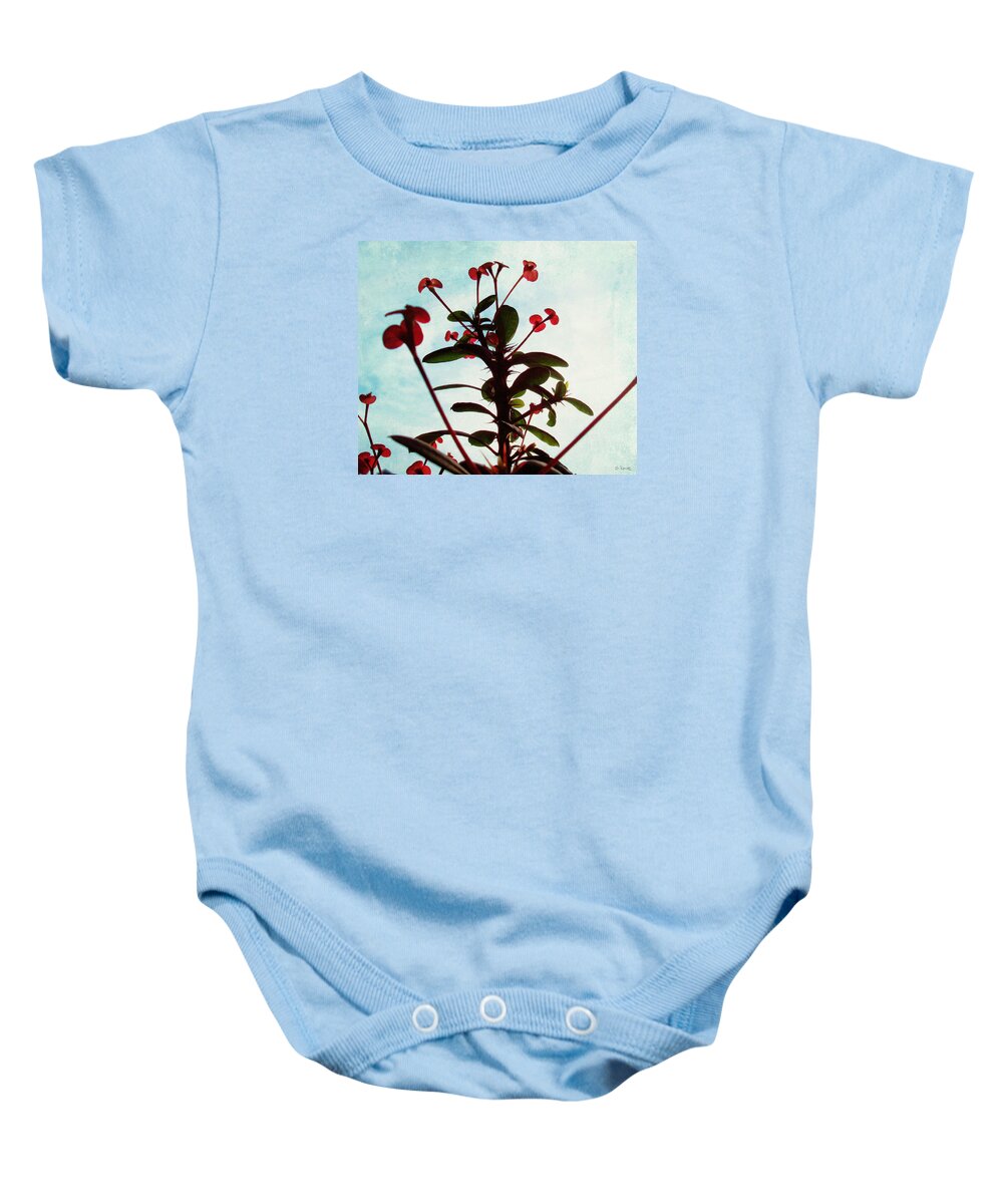Crown Of Thorns Baby Onesie featuring the photograph Crown of Thorns by Shawna Rowe