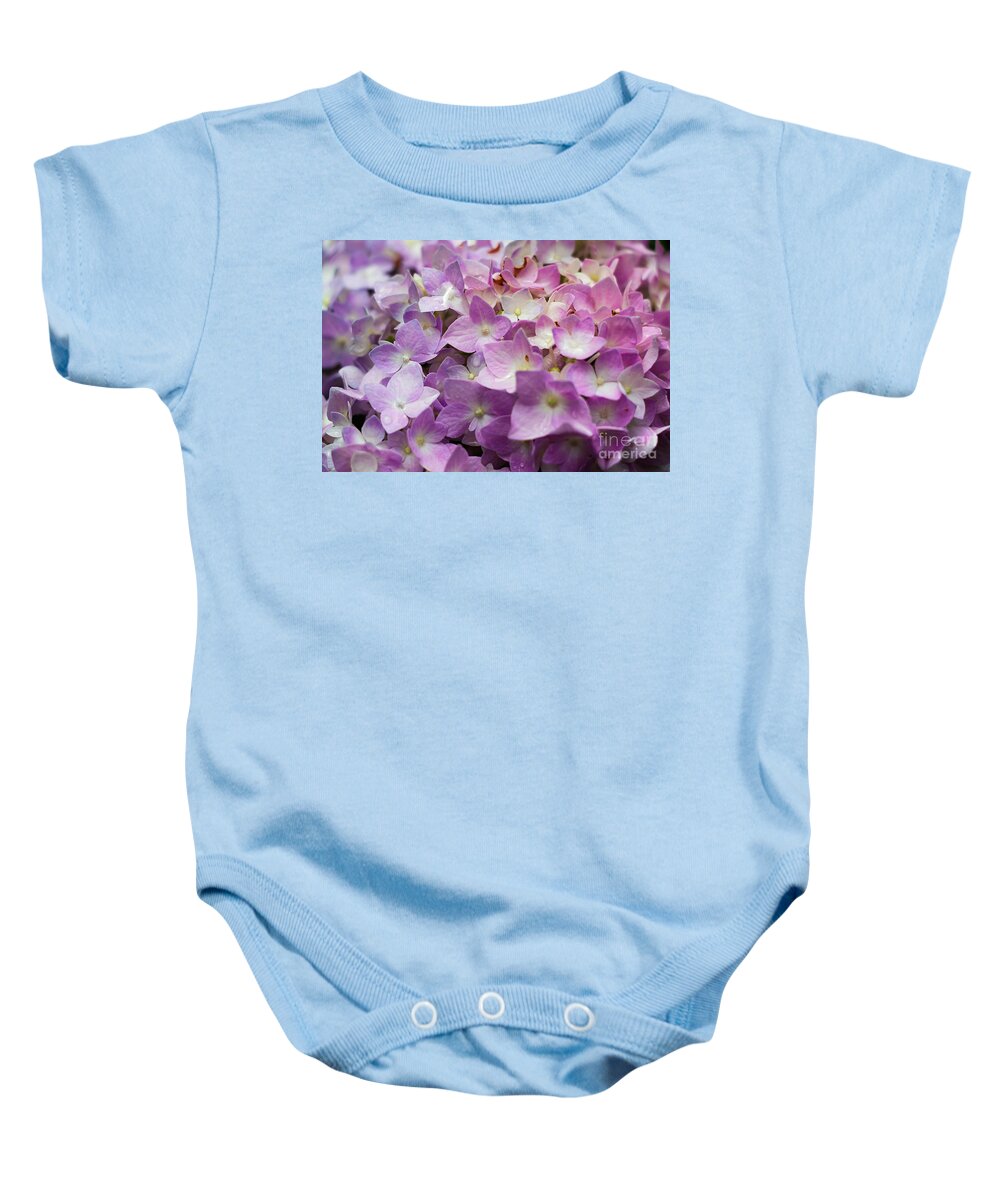 Pink Hydrangeas Baby Onesie featuring the photograph Dainty Pink Hydrangeas by Elizabeth Dow