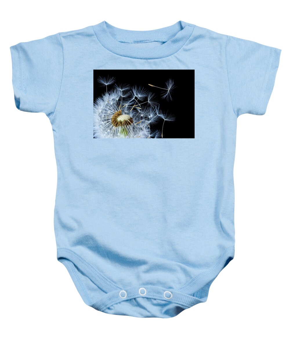 Abstract Baby Onesie featuring the photograph Dandelion on black background by Bess Hamiti