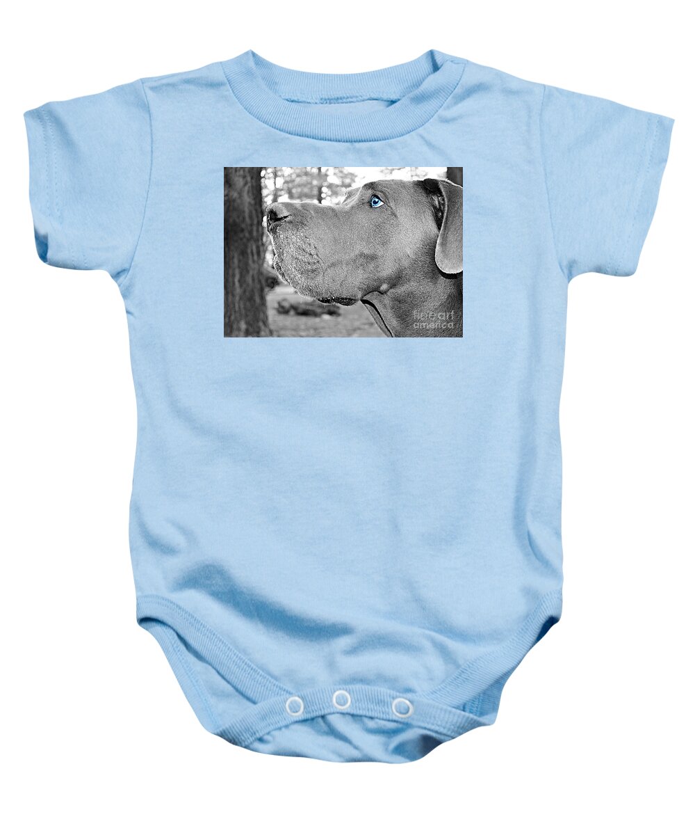 Dog Baby Onesie featuring the photograph Dogus by Jenny Revitz Soper