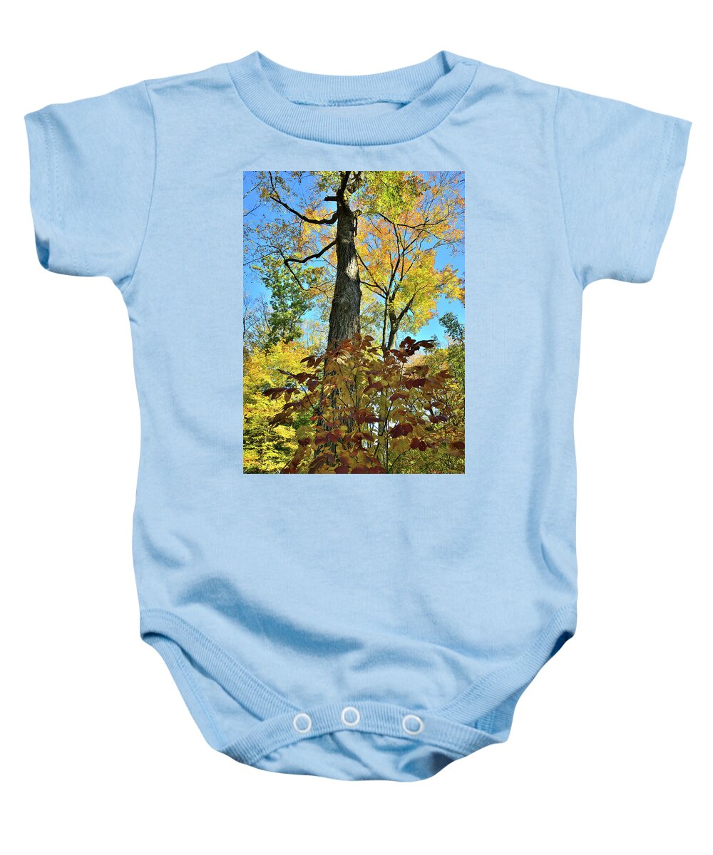 Lake County Baby Onesie featuring the photograph Fall Color Canopy in Ryerson Woods by Ray Mathis