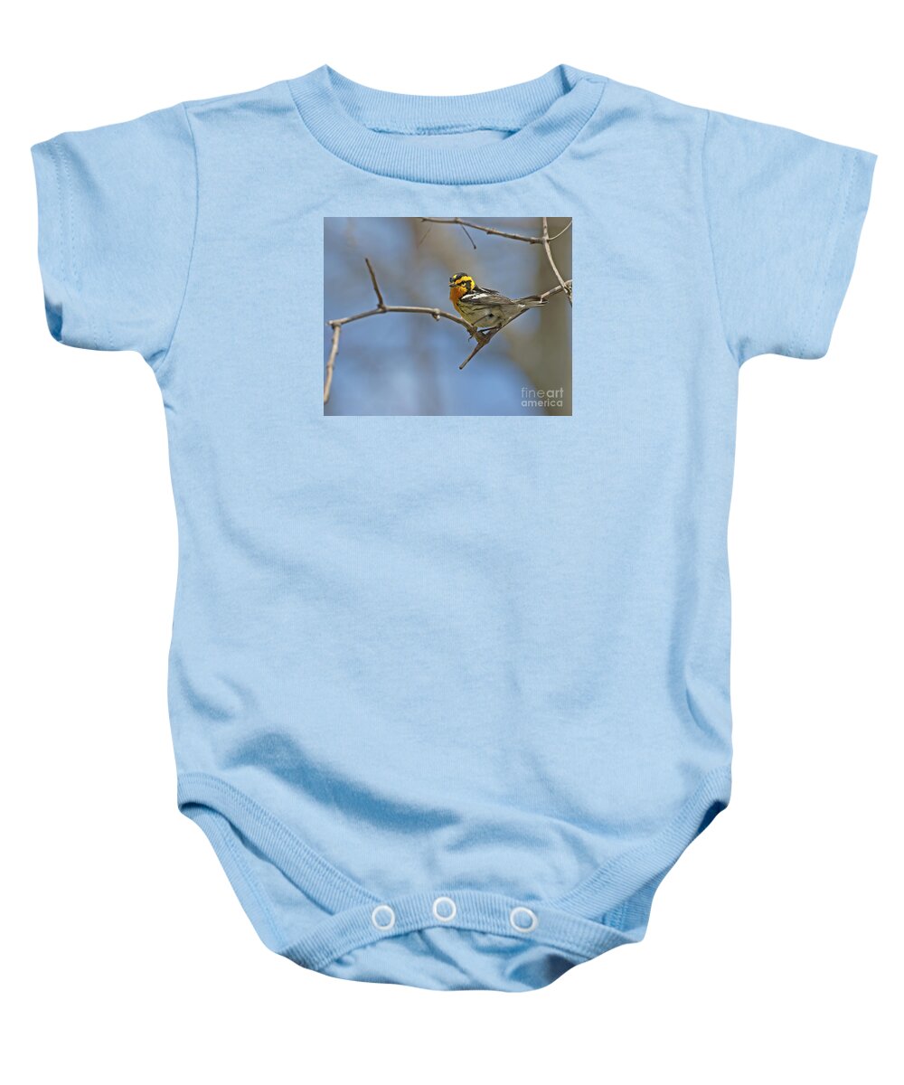 Blackburnian Warbler Baby Onesie featuring the photograph Fire Throat... by Nina Stavlund