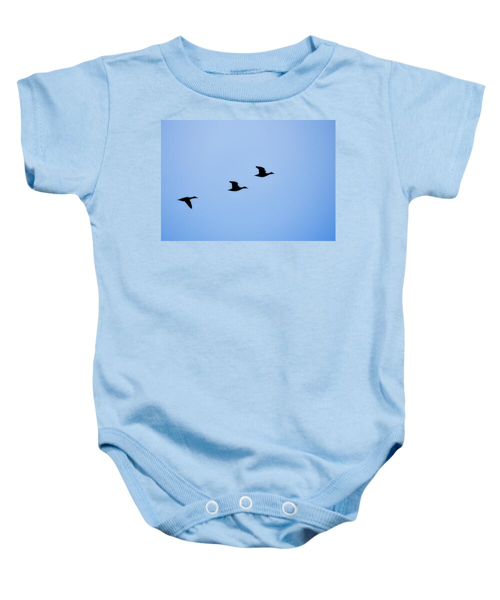 Nature Baby Onesie featuring the photograph Flight of Three by Robert Mitchell
