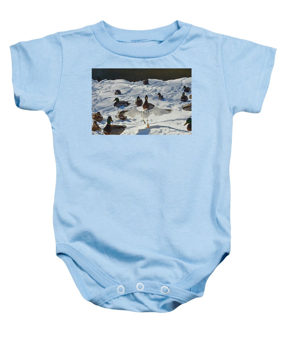 Ducks Baby Onesie featuring the photograph Flight or Fancy by Dani McEvoy