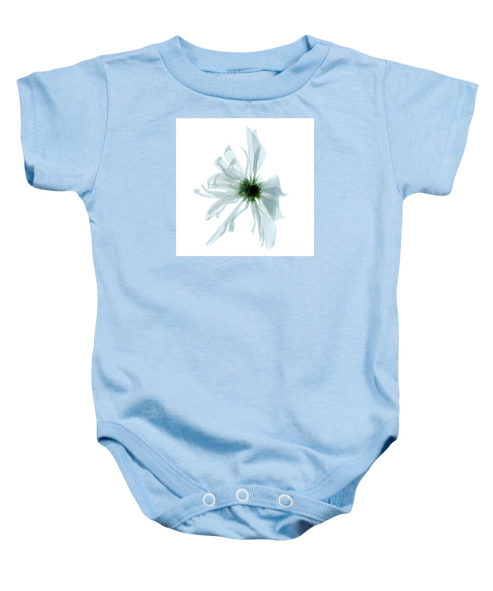 Soft Baby Onesie featuring the photograph Flower head by Clayton Bastiani
