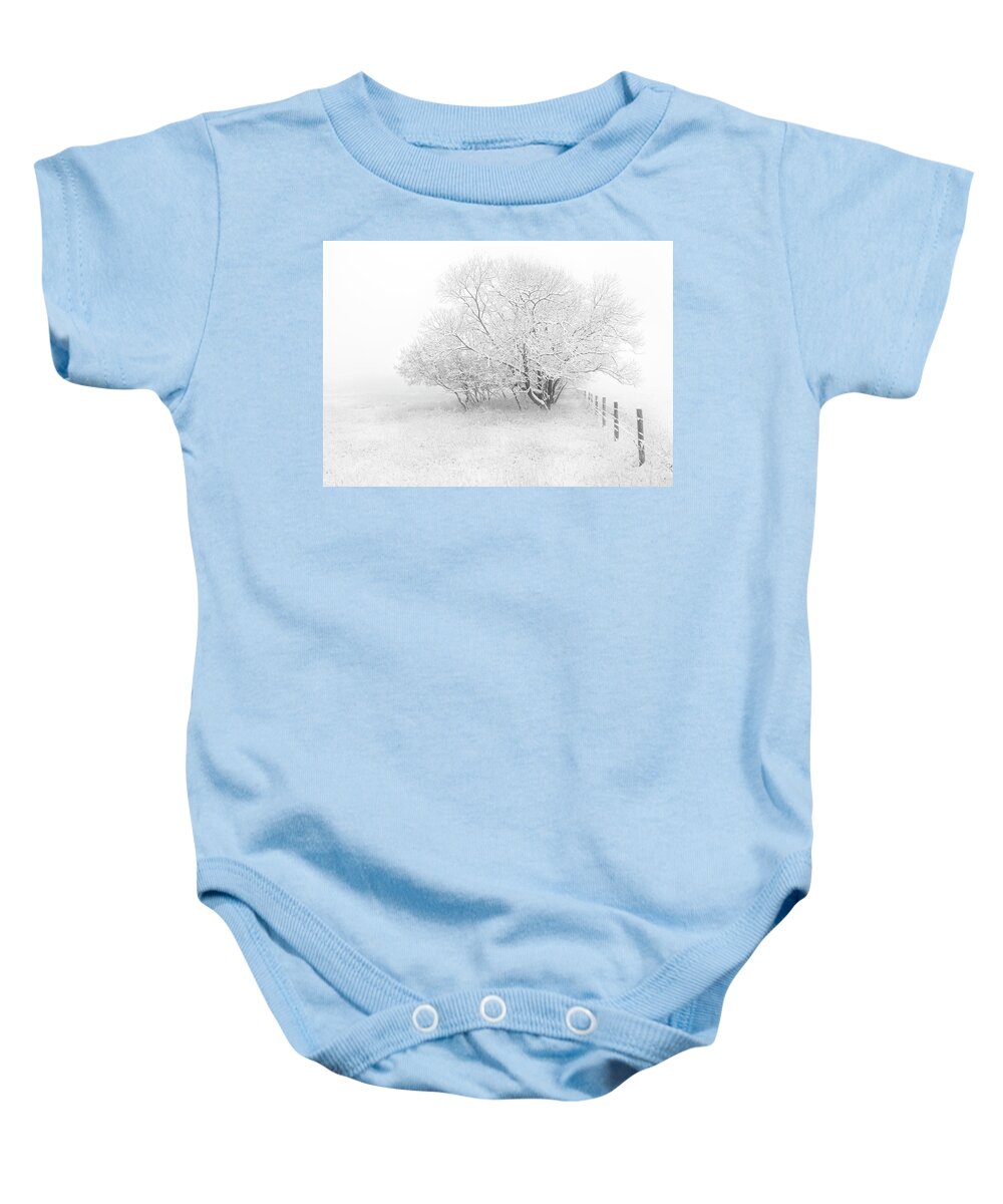 Frost Baby Onesie featuring the photograph Frosted by Dan Jurak