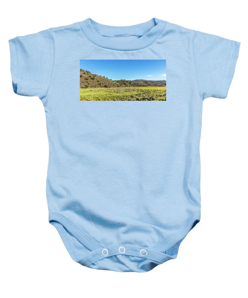 Sheep Baby Onesie featuring the photograph Grazing Sheep by Mark Joseph