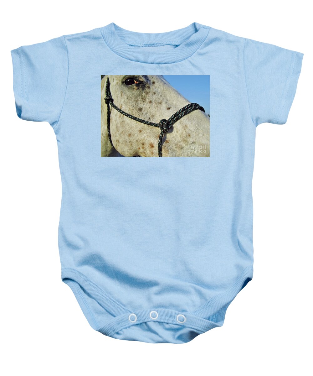 Horse Baby Onesie featuring the photograph Hello Leopard Appaloosa by D Hackett