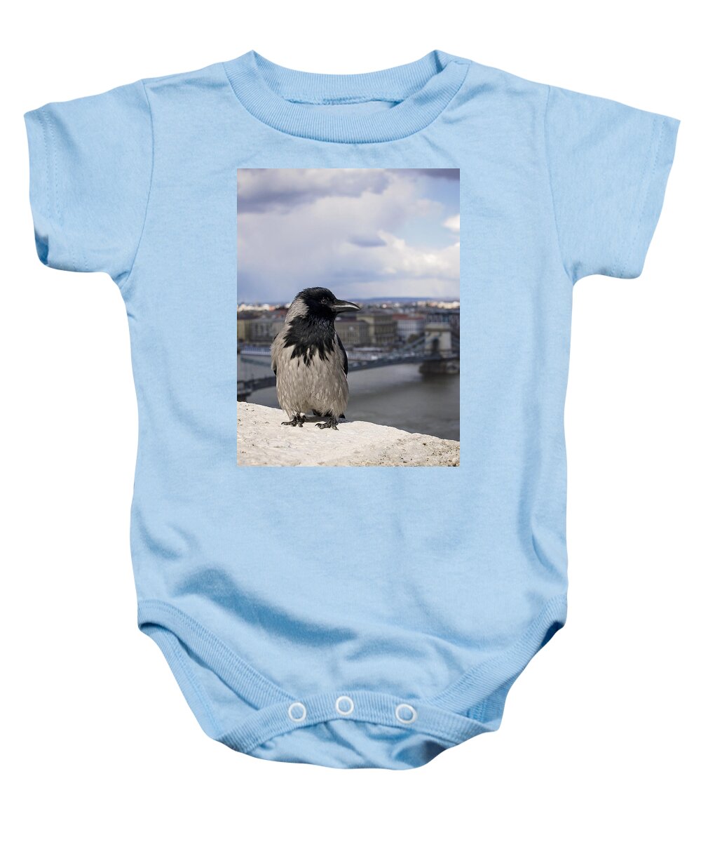 Hooded Crow Baby Onesie featuring the photograph Hooded Crow by Heather Applegate