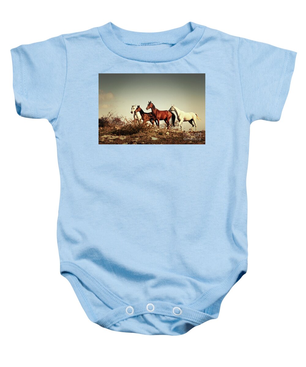Horses Baby Onesie featuring the photograph Horses running stallions - Black and White by Dimitar Hristov