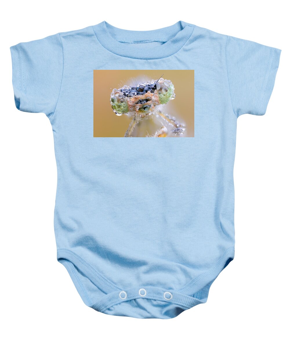 Insect Baby Onesie featuring the photograph Insect by Mariel Mcmeeking