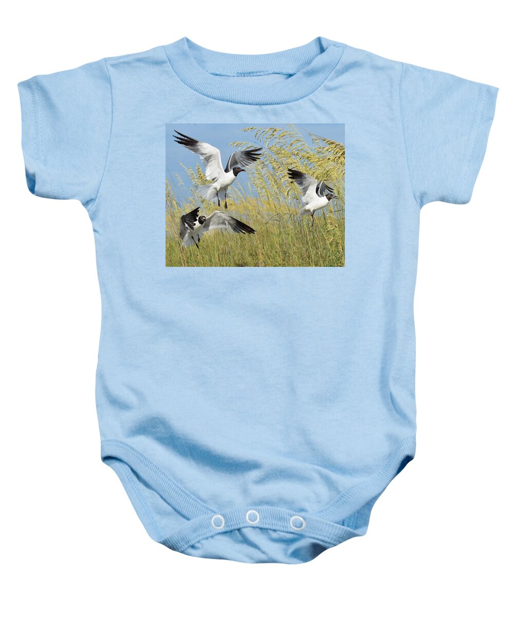 Laughing Gull Baby Onesie featuring the photograph Laughing Gulls Launch by Chip Gilbert