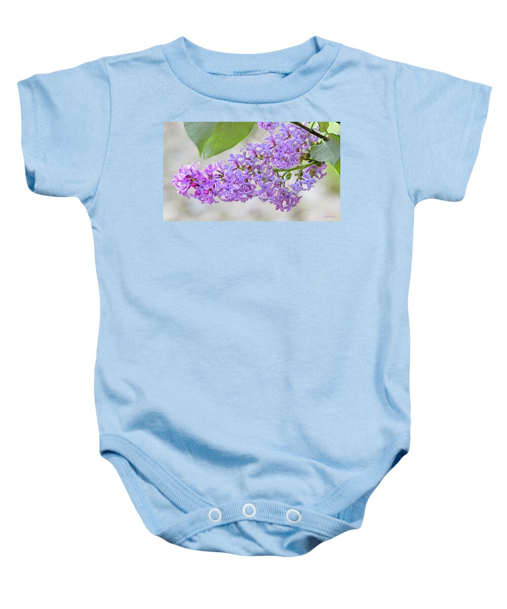 Lilacs Baby Onesie featuring the photograph Lilac Cluster by Skip Tribby