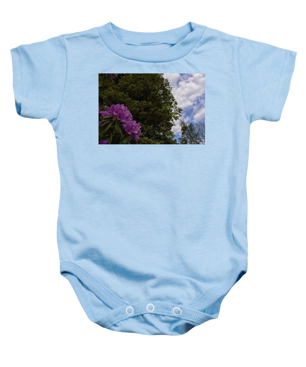 Sky Baby Onesie featuring the photograph Looking to the sky by Kuni Photography