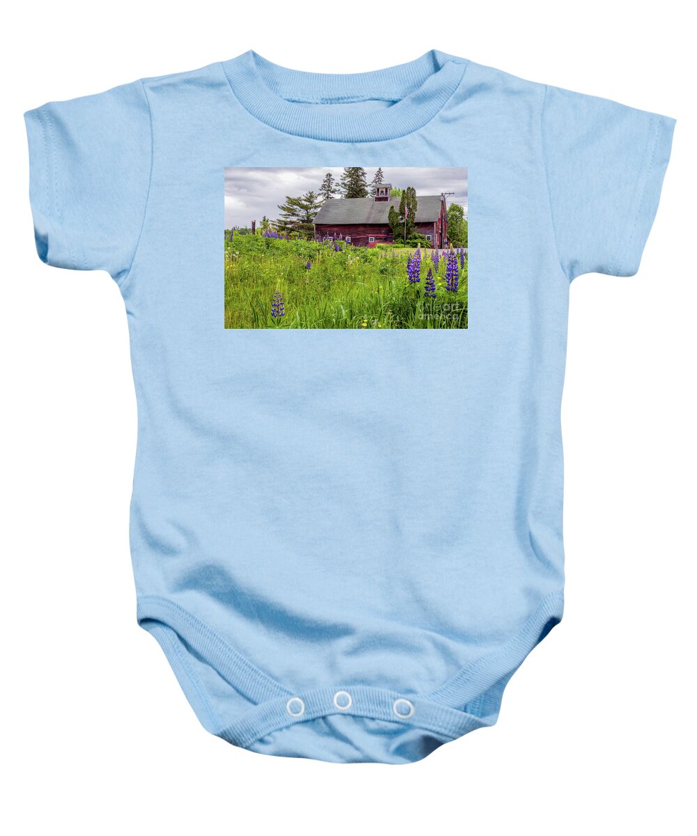 Lupine Baby Onesie featuring the photograph Lupine Country by Rod Best
