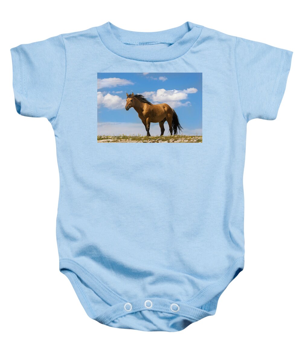 Mark Miller Photos Baby Onesie featuring the photograph Magnificent Wild Horse by Mark Miller