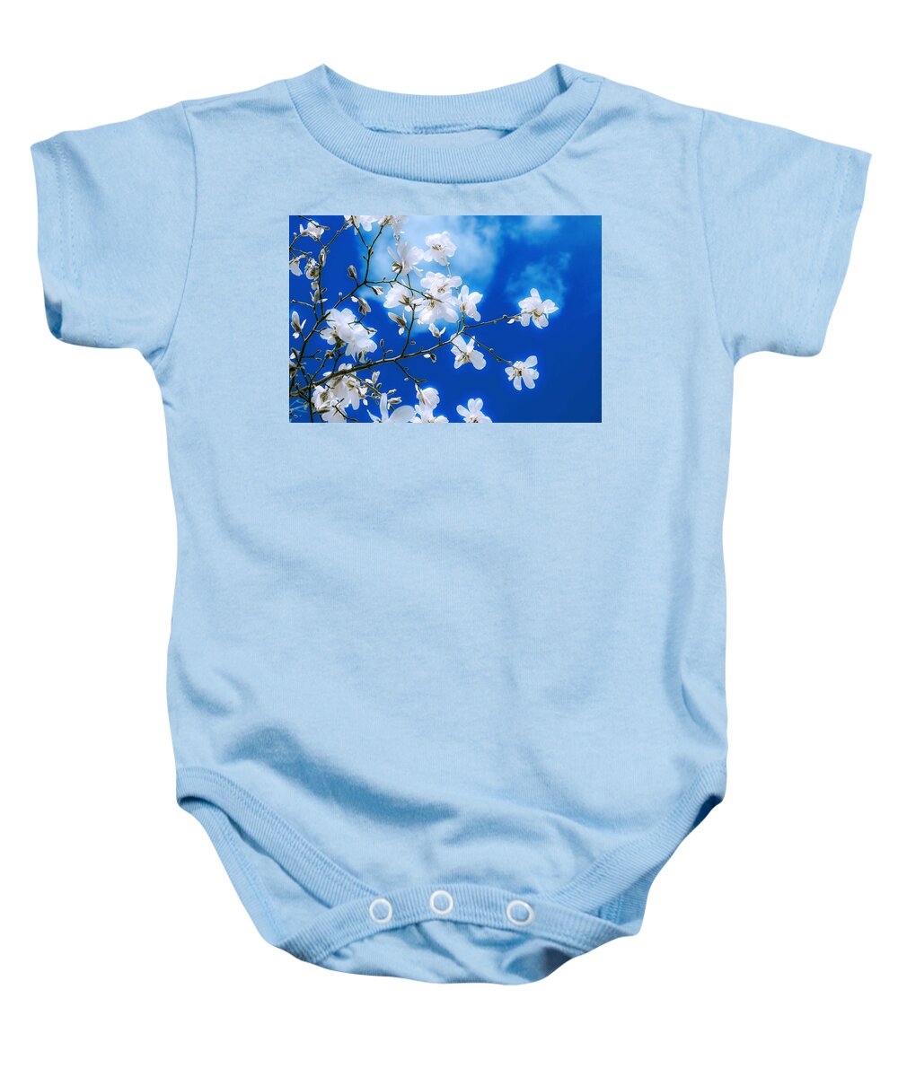 Magnolia Baby Onesie featuring the painting Magnolia Flowers blooming in spring by Celestial Images