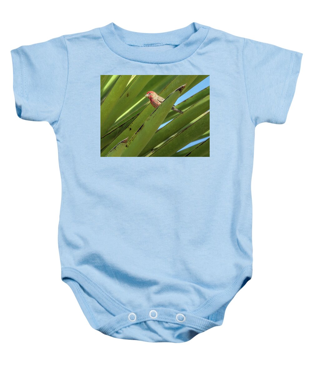 House Baby Onesie featuring the photograph Male House Finch 7498 by Tam Ryan