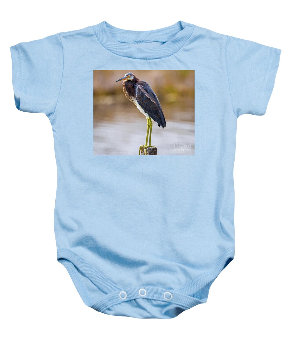 Nature Baby Onesie featuring the painting Master Of The Post 2 - Egretta Tricolor by DB Hayes