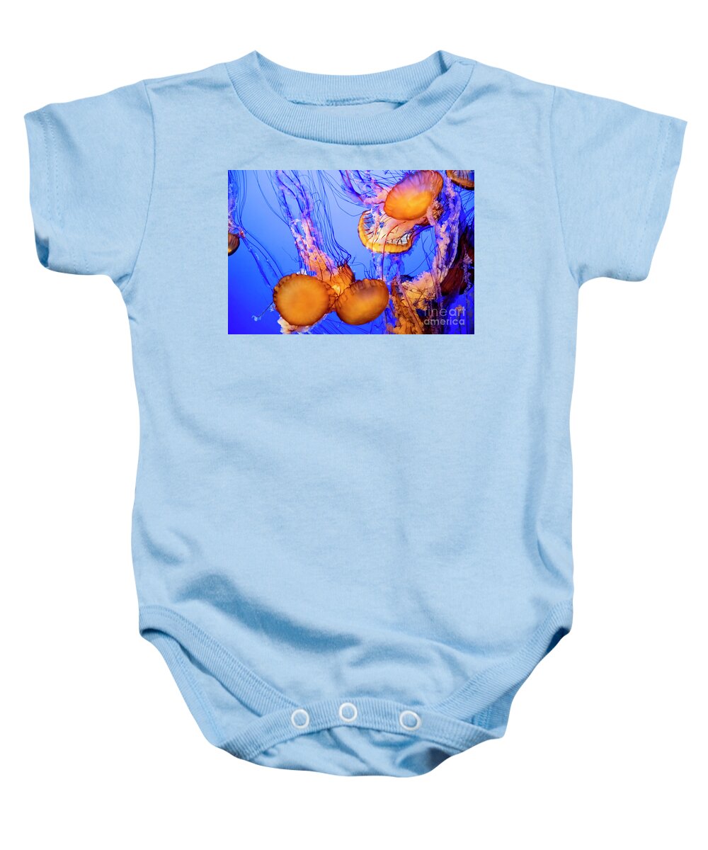 Purple Stripped Jelly Fish Baby Onesie featuring the photograph Mix Purple Stripped Jelly Fish California by Chuck Kuhn