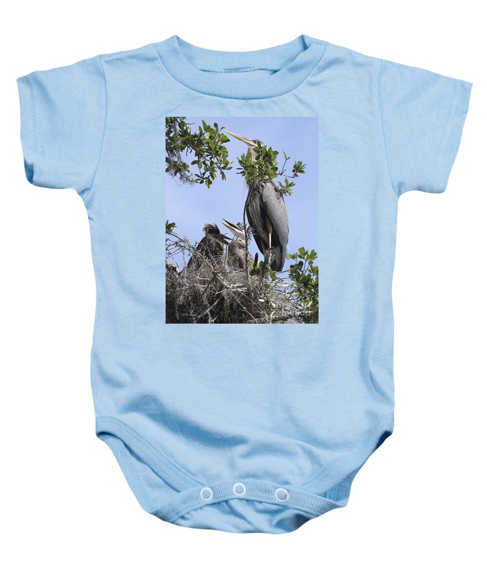 Blue Heron Baby Onesie featuring the photograph Mom And Babies by Deborah Benoit