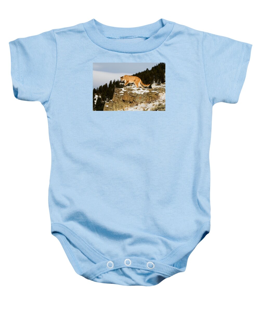 Mountain Lion Baby Onesie featuring the photograph Mountain Lion on Rocks by Scott Read