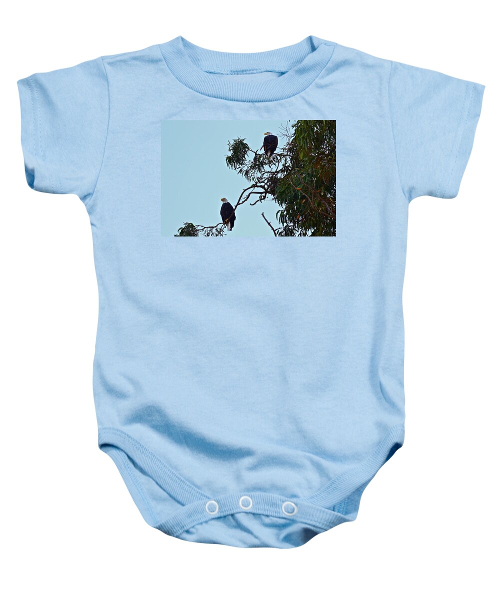 Birds Baby Onesie featuring the photograph Mr. and Mrs. Bald by Diana Hatcher