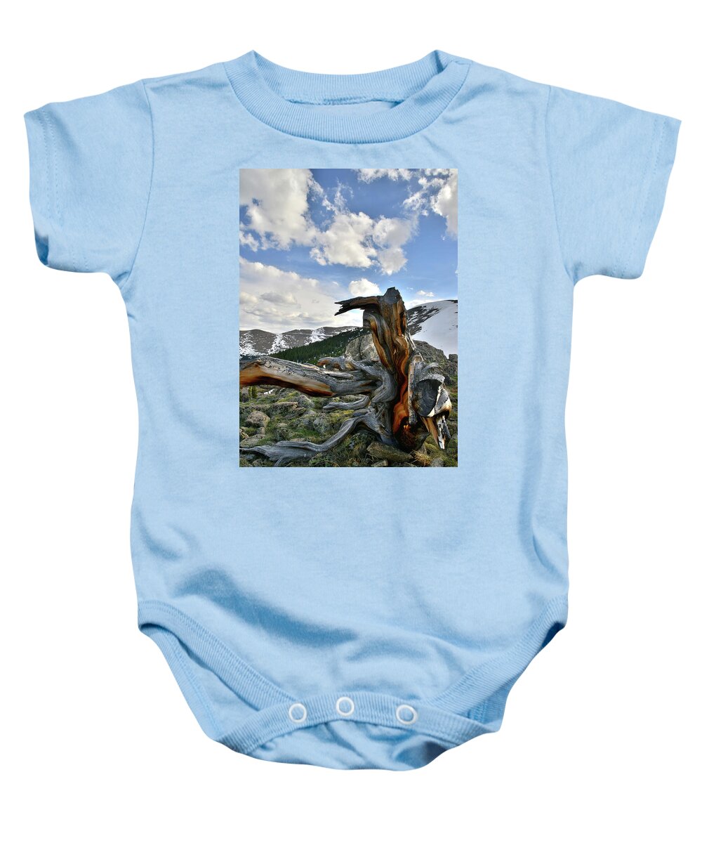 Mount Goliath Natural Area Baby Onesie featuring the photograph Mt. Evans Bristlecone Pine by Ray Mathis