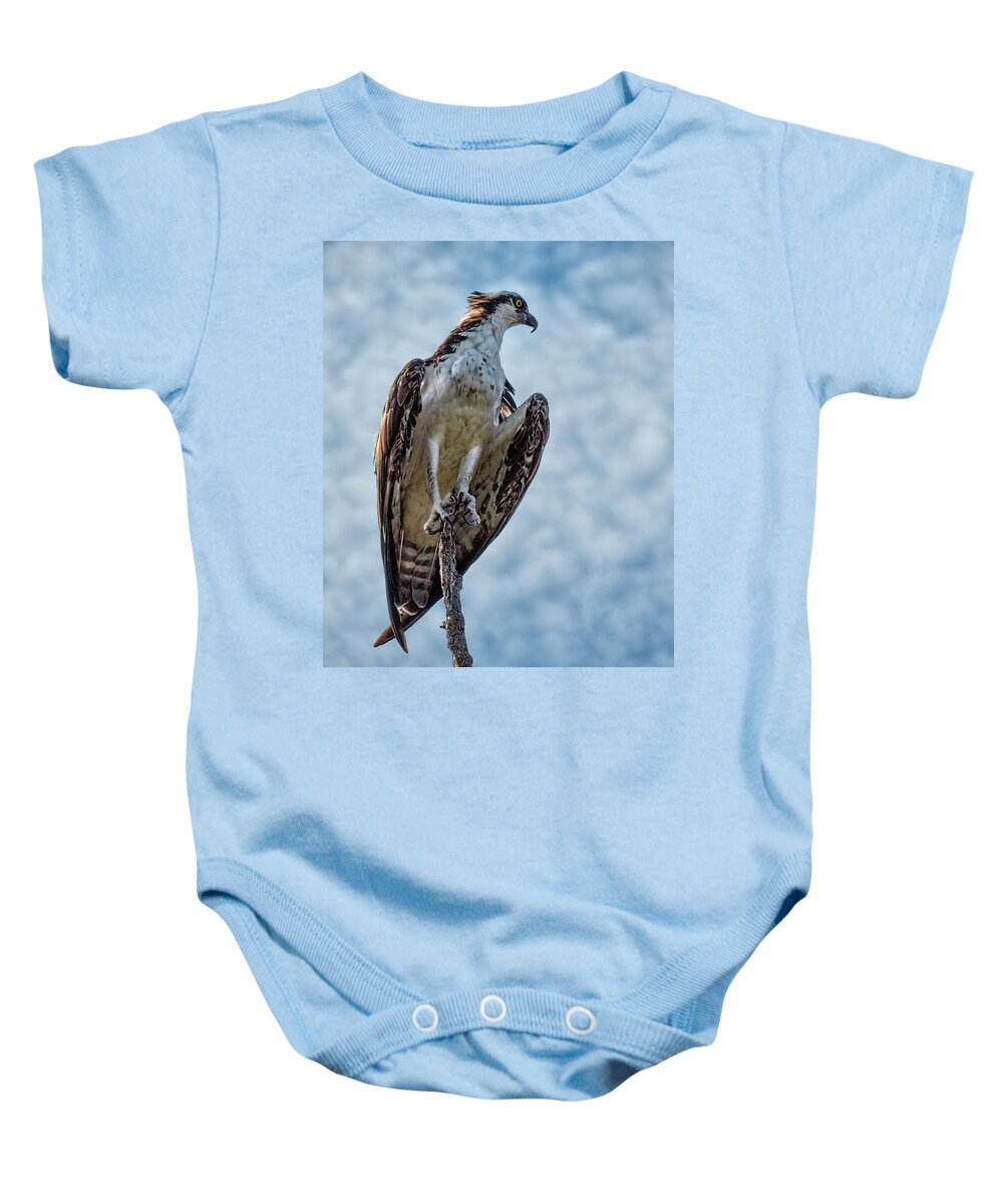 Osprey Baby Onesie featuring the photograph Osprey on Top of the World #2 by Mitch Spence