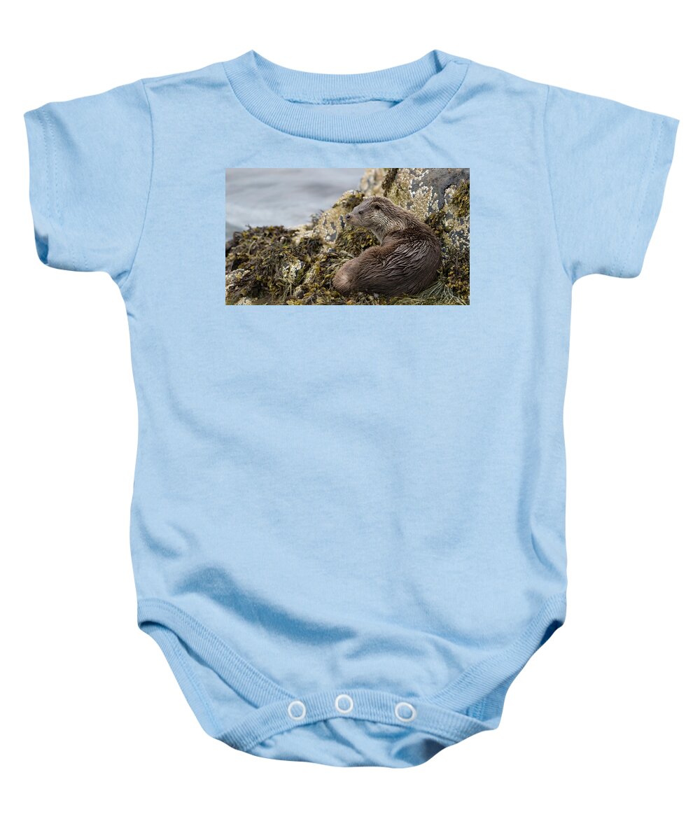 Otter Baby Onesie featuring the photograph Otter Relaxing On Rocks by Pete Walkden