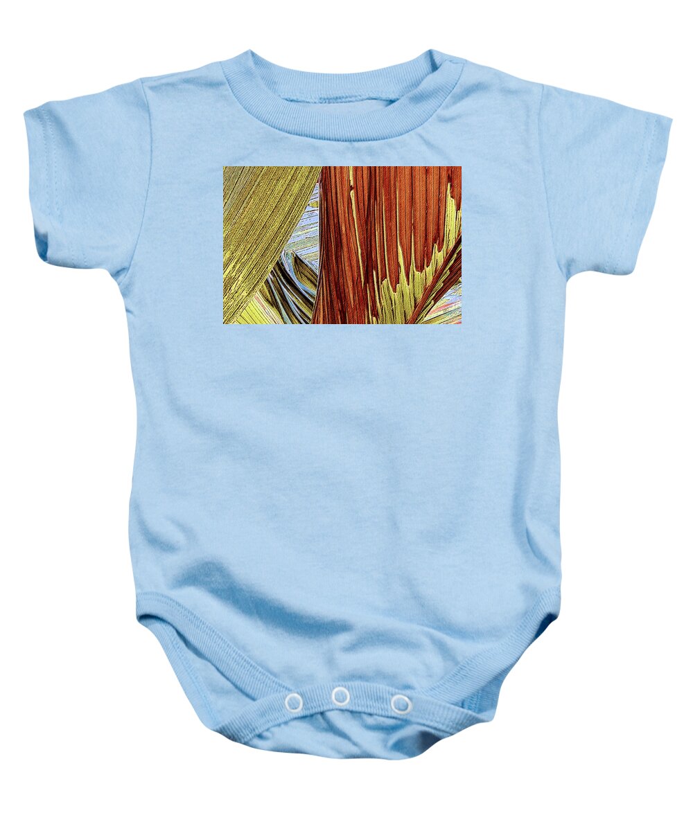 Botanical Abstract Baby Onesie featuring the photograph Palm Leaf Abstract by Ben and Raisa Gertsberg
