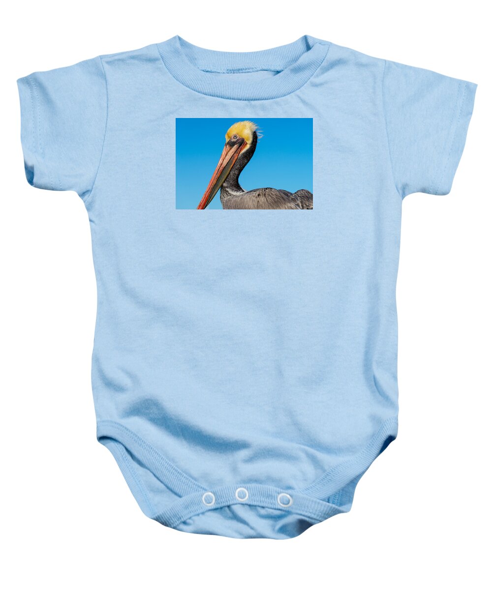 Pelican Baby Onesie featuring the photograph Pelican Portrait by Derek Dean