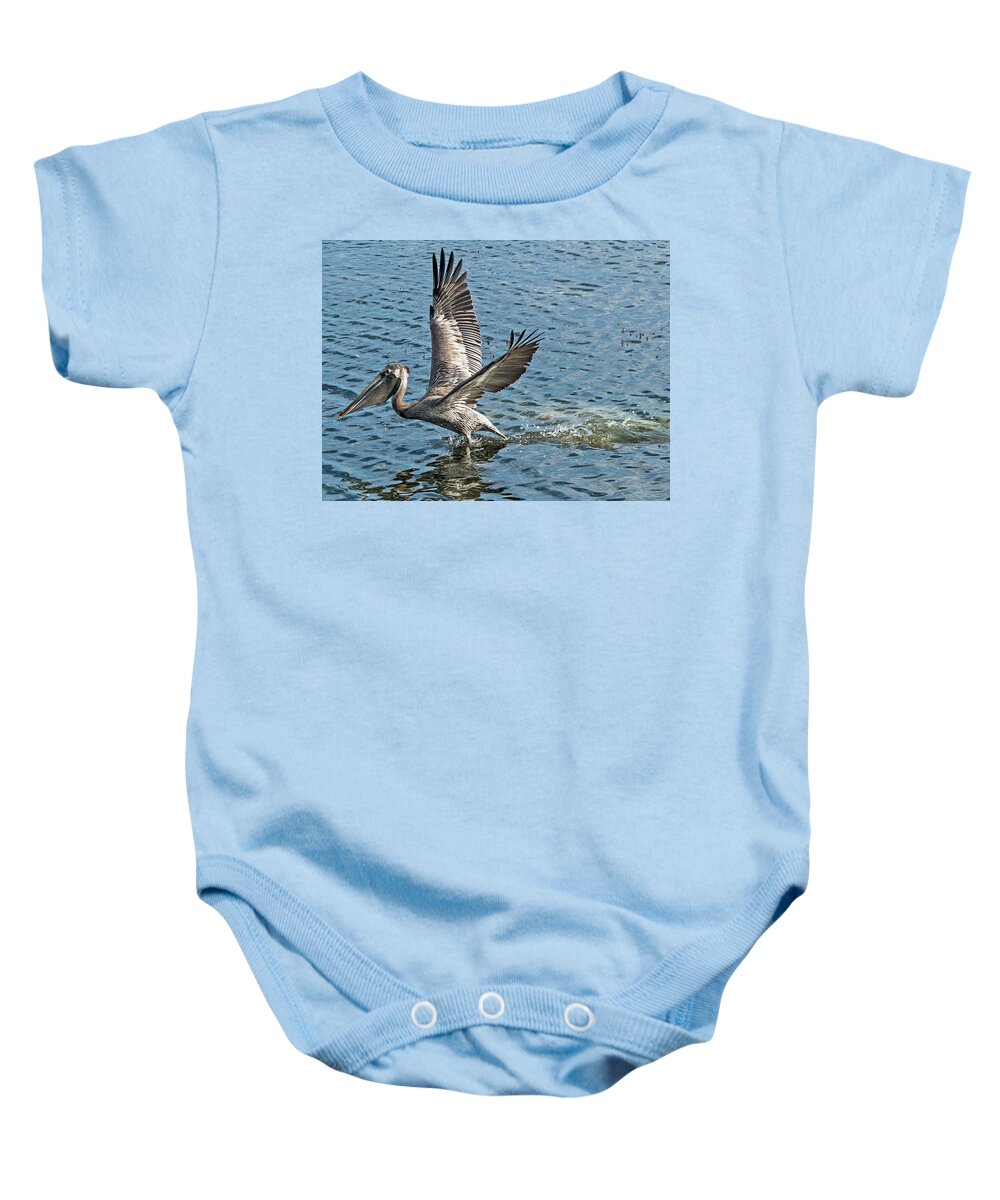 Pelican Baby Onesie featuring the photograph Pelican Take-Off by Bob Slitzan