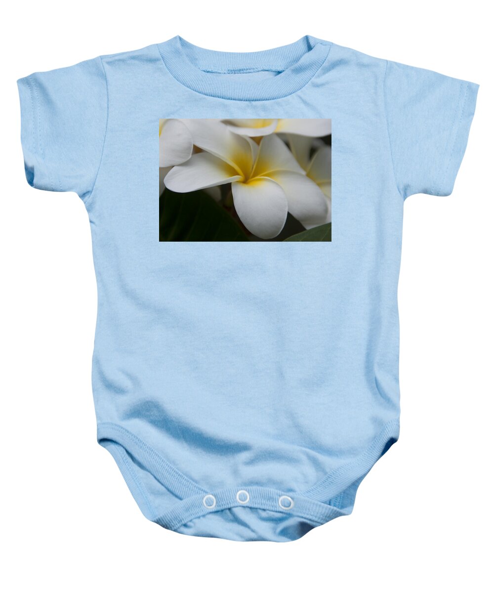 Kauai Baby Onesie featuring the photograph Plumeria by Steven Natanson