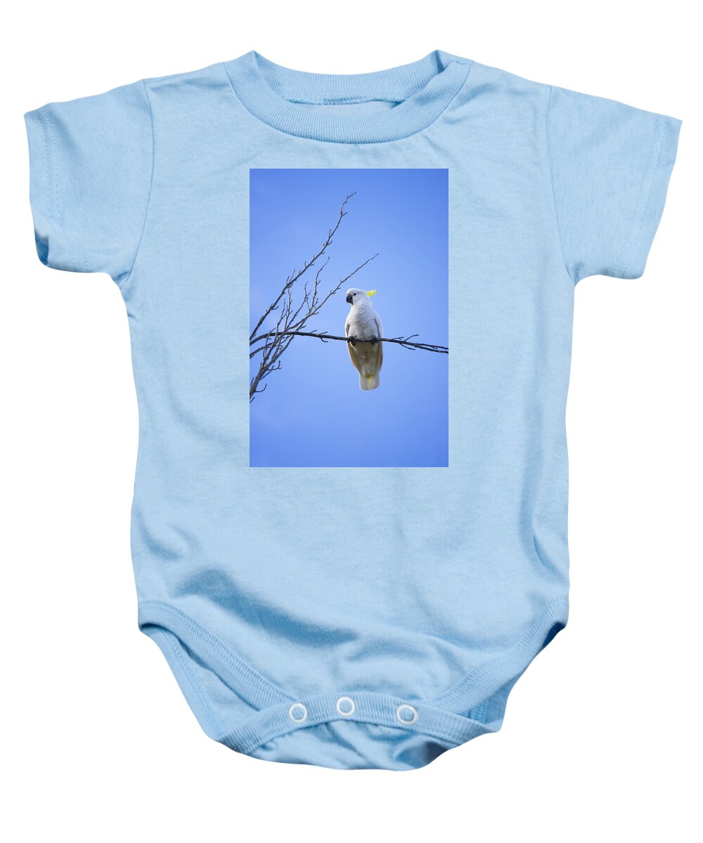 Birds Baby Onesie featuring the photograph Portrait of Sulphur Crested Cockatoo by Anthony Davey