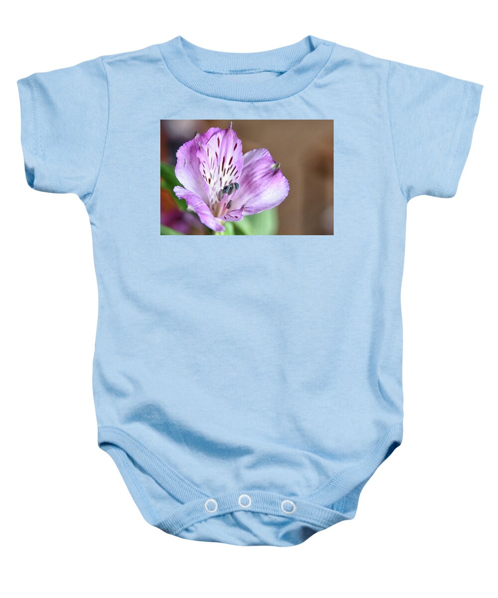  Baby Onesie featuring the photograph Purple Flower by Kuni Photography