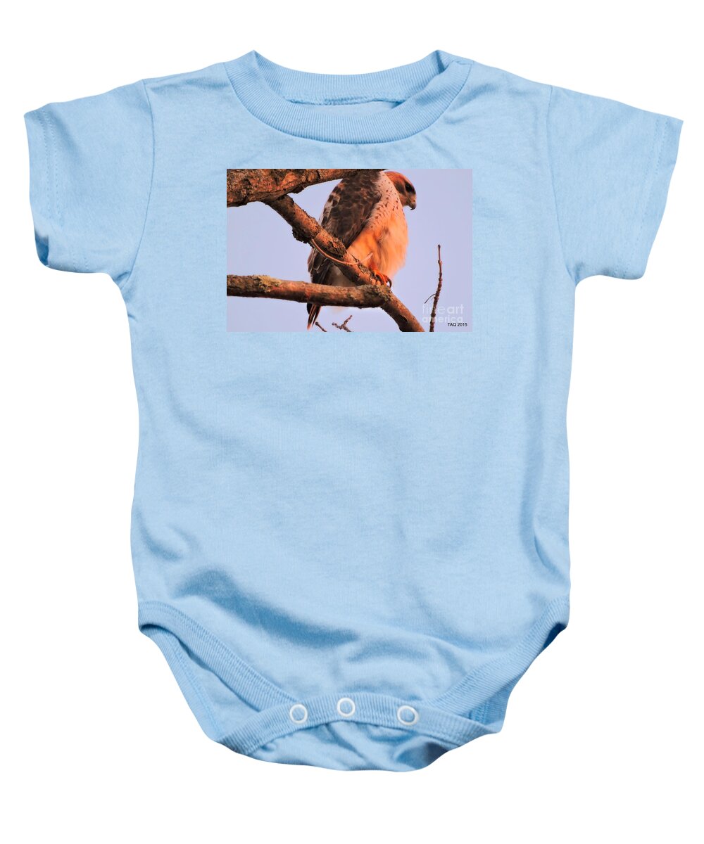 Red-tailed Hawk Baby Onesie featuring the photograph Red Tail In The Sunset by Tami Quigley