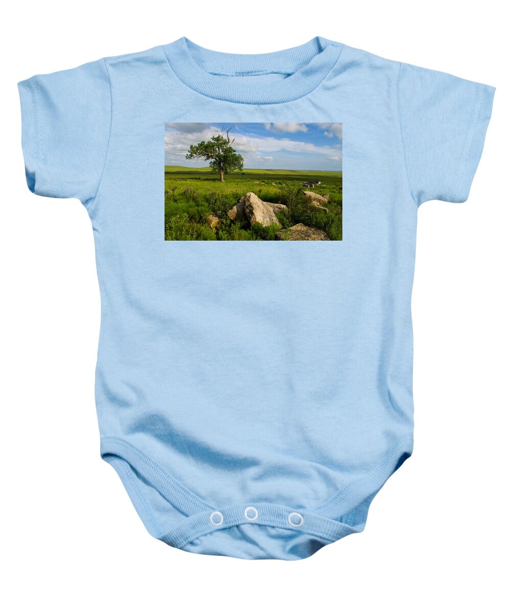Tree Baby Onesie featuring the photograph Rocks and Cottonwood 1 by Jeff Phillippi