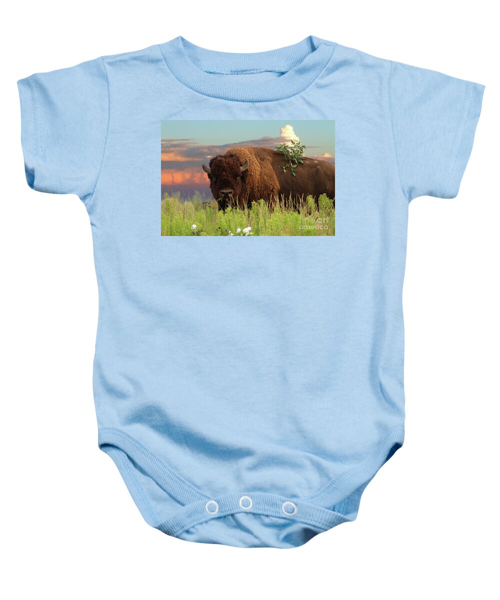 Sunsets Landscape Baby Onesie featuring the photograph Ruler of the Prairie by Jim Garrison