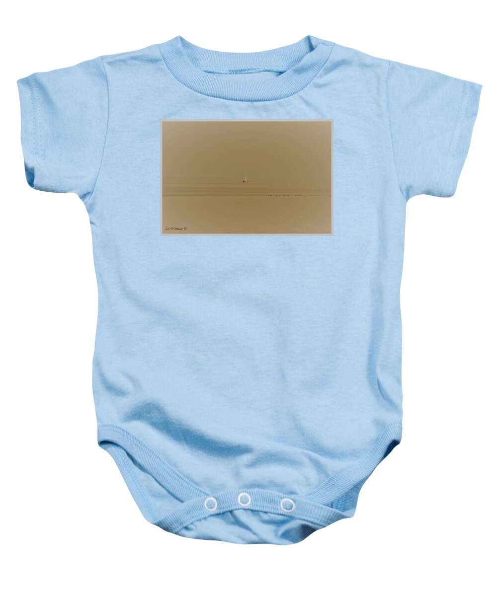 Sail Baby Onesie featuring the photograph Sail and Aquatic birds by Sonali Gangane