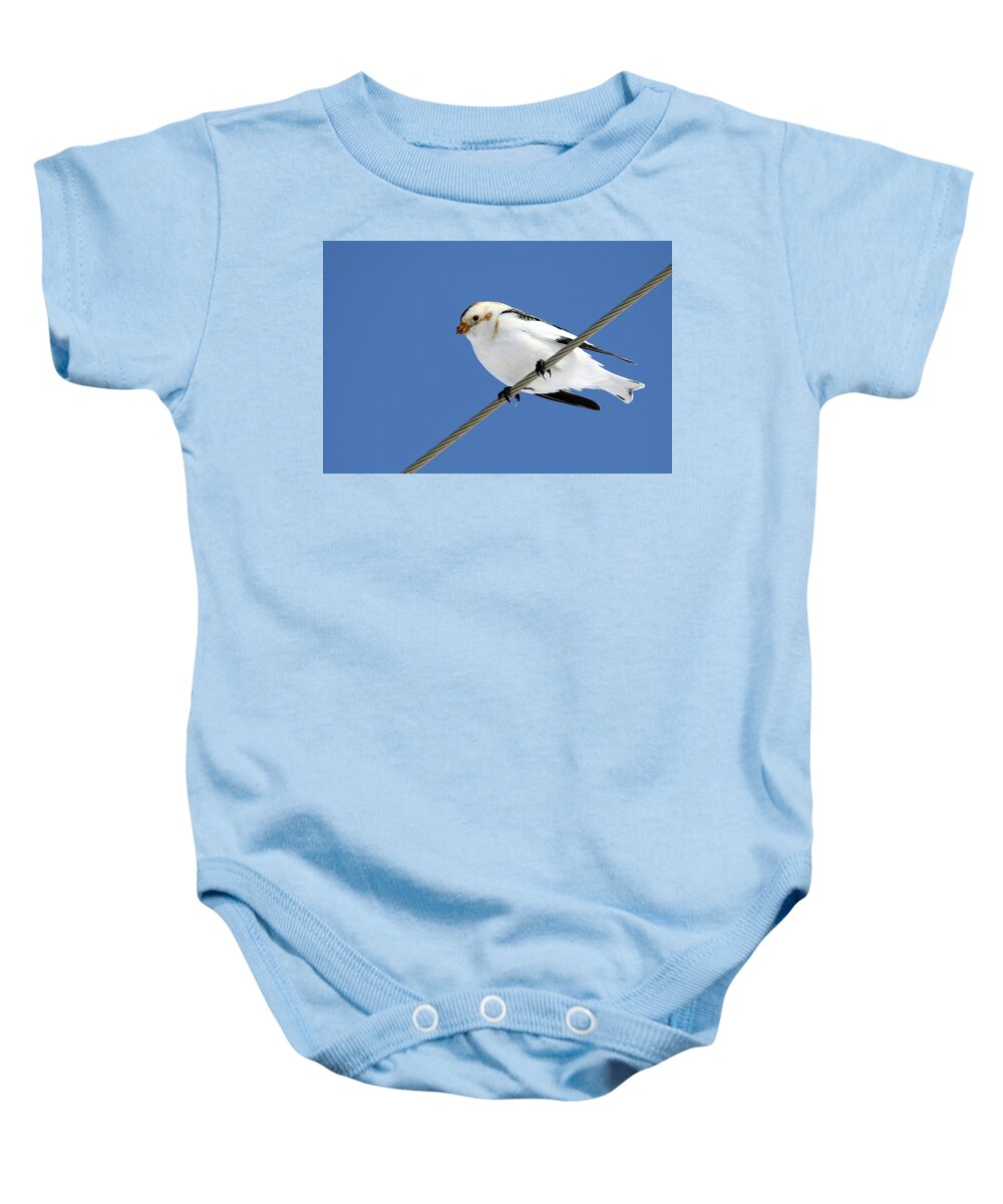 Snow Bunting Baby Onesie featuring the photograph Snow Bunting by Brook Burling