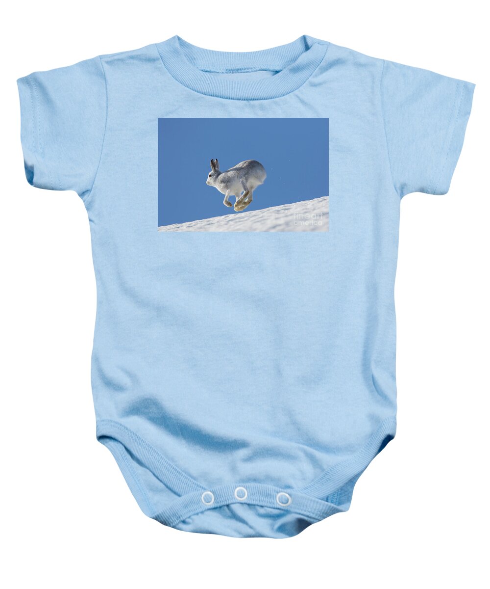 Mountain Hare Baby Onesie featuring the photograph Snow Hare by Arterra Picture Library