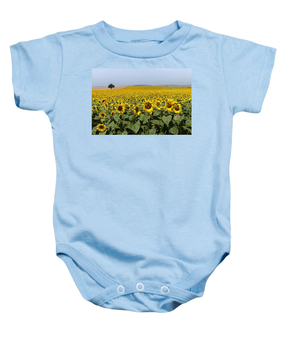 Yellow Baby Onesie featuring the photograph Sunflowers field by Mike Santis